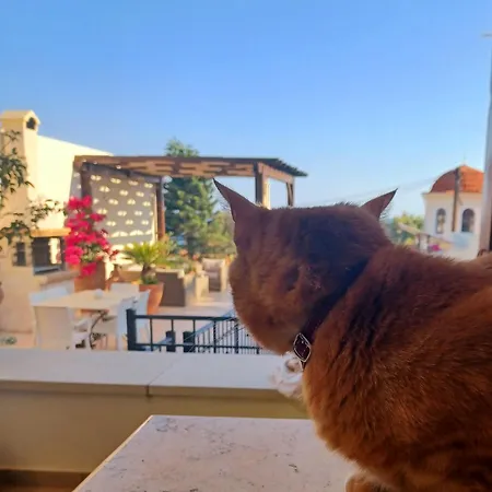 Aposperitis Panormos (Crete)