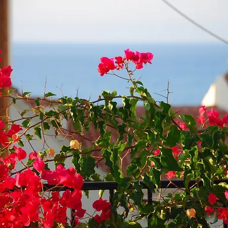 Aposperitis Villa Panormos (Crete)